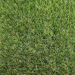 Cape Cabet Artificial Grass