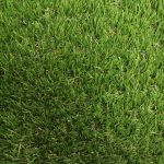 Merion Artificial Grass